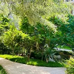 Bratanov Harmony Dream Island Slăntjev Brjag