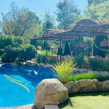 Bratanov Harmony Dream Island *